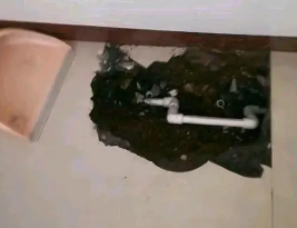 吉首卫生间测漏水多少钱